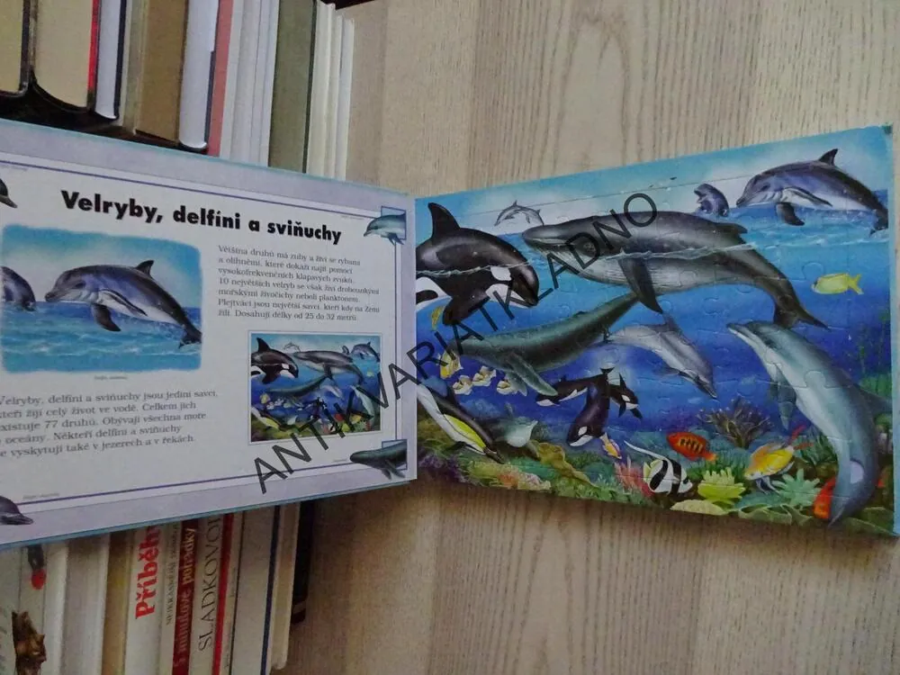 SVĚT MOŘÍ A OCEÁNŮ, LEE KRUTOP, **an