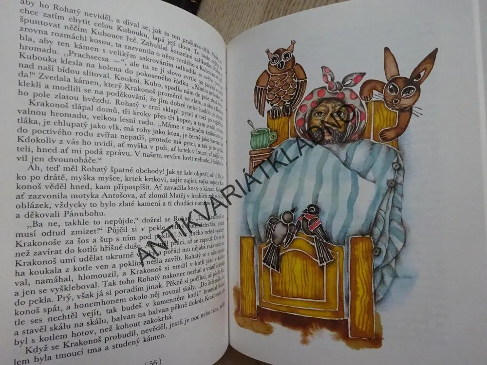 POHÁDKY O KRAKONOŠOVI, KUBÁTOVÁ, **an
