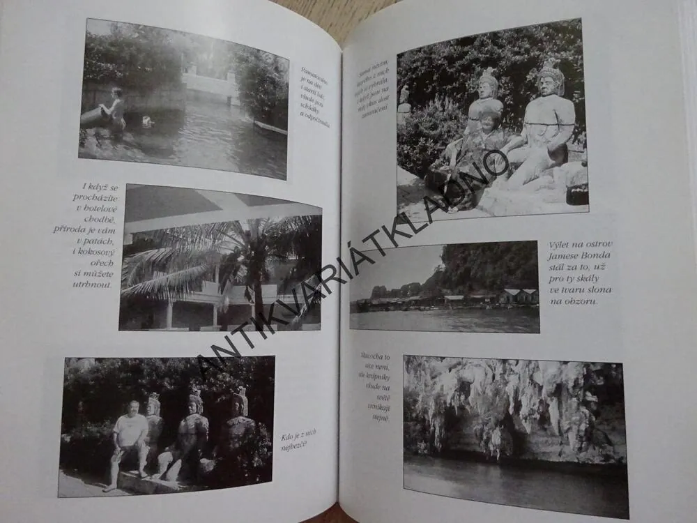 HELENA NA CESTÁCH ANEB THAJSKÝ SEN HELENY RŮŽIČKOVÉ, HELENA RŮŽIČKOVÁ, MARIE FORMÁČKOVÁ, **an