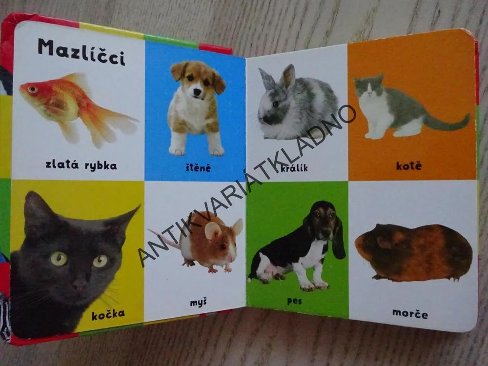 PRVNÍCH 100 ZVÍŘAT, ZVÍŘATA, **an
