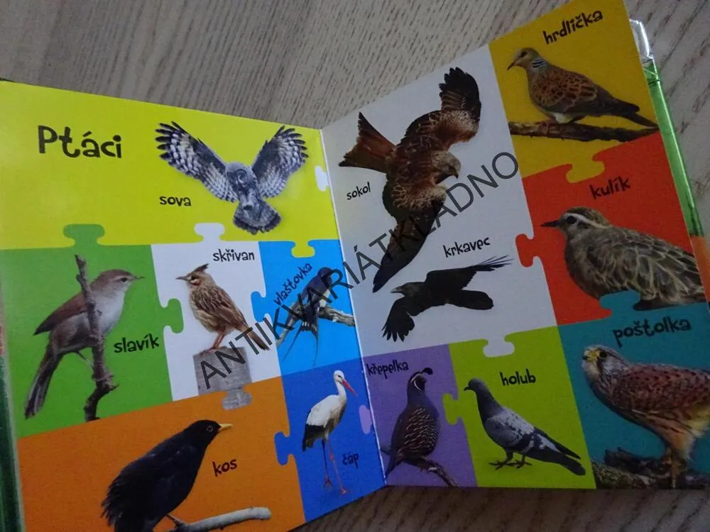 100, ZVÍŘÁTKA NA STATKU A VENKOVĚ, **an