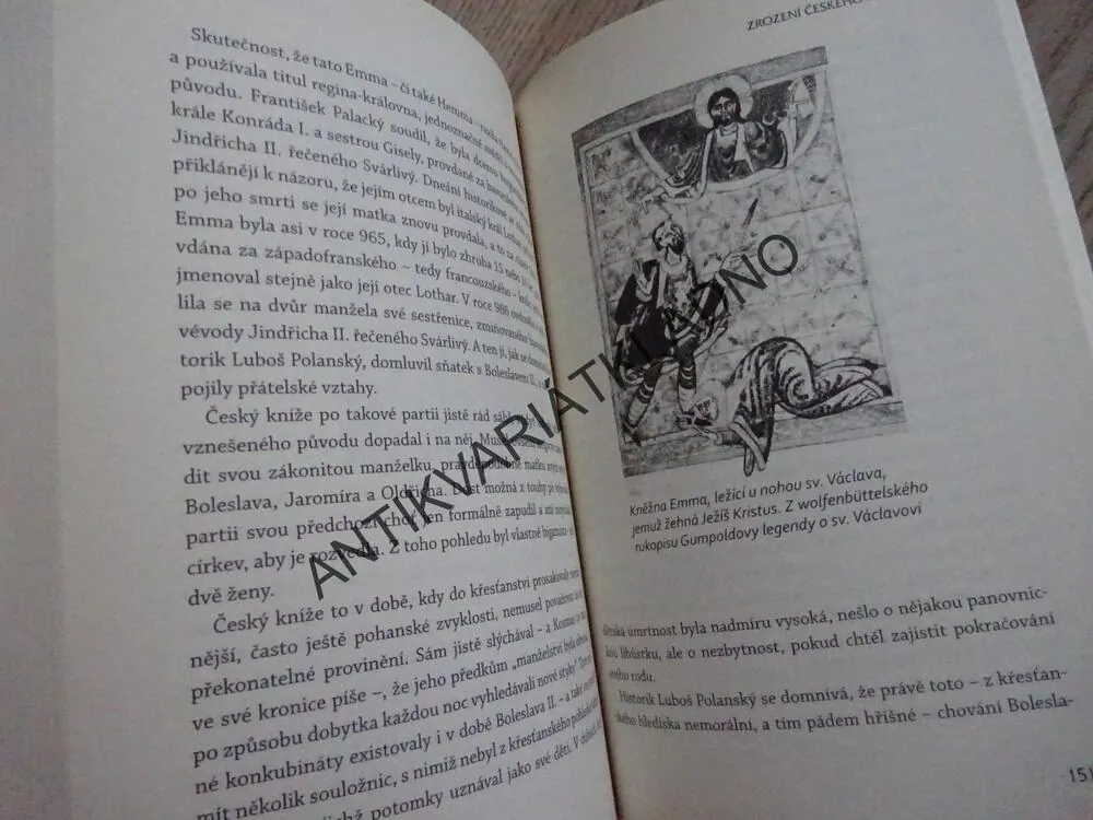 ZROZENÍ ČESKÉHO STÁTU, JAN BAUER, **an