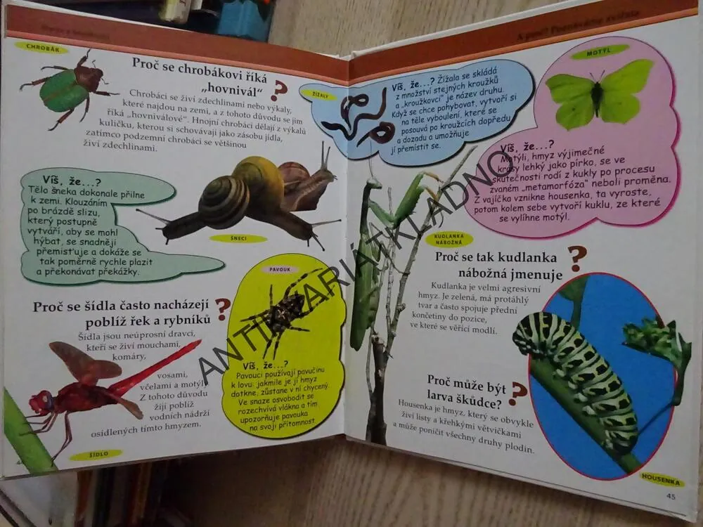 MOJE PRVNÍ KNIHA A PROČ?, POZNÁVÁME ZVÍŘATA, **an