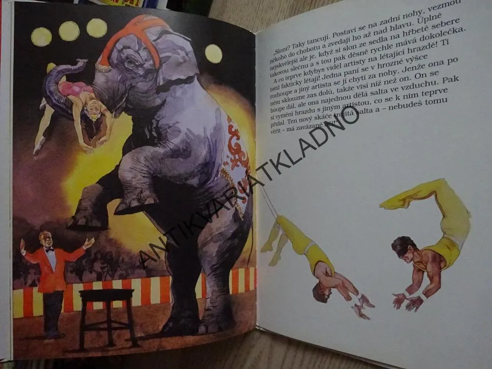 SLEPIČÍ POLÉVKA PRO DĚTSKOU DUŠI, NEJSKVĚLEJŠÍ VEČER S MÝM TÁTOU, **an