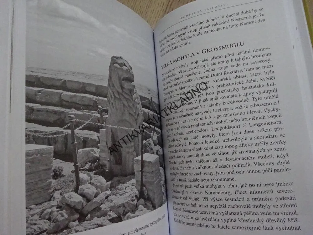 POHŘBENÁ TAJEMSTVÍ, REINHARD HABECK, **an