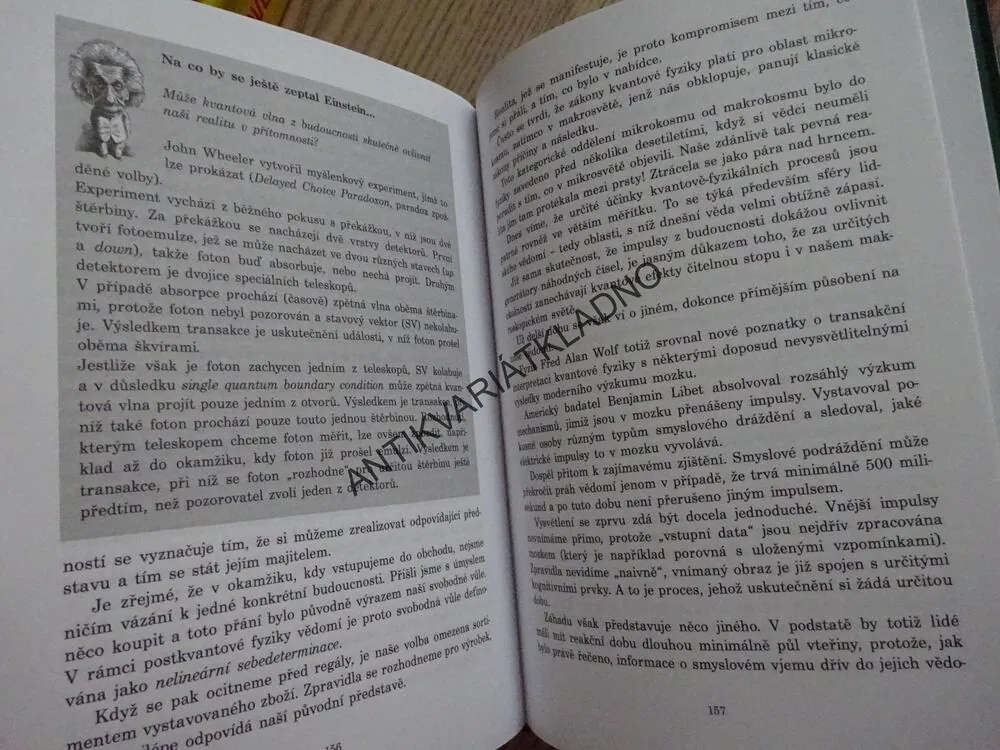 CHYBY V MATRIX, GRAZYNA FOSAROVÁ, FRANZ BLUDORF, **an