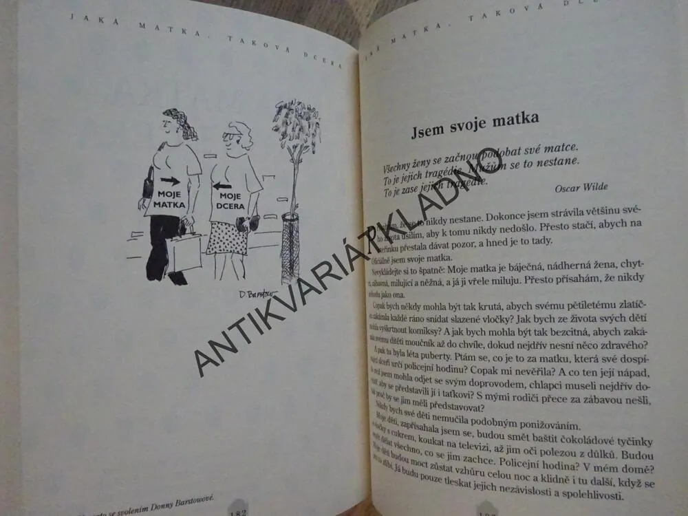 SLEPIČÍ POLÉVKA PRO MATKU A DCERU, JACK CANFIELD, MARK VICTOR HANSEN, **an