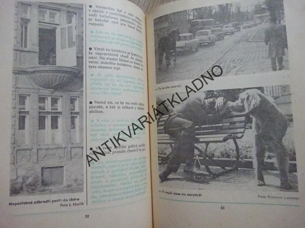MAGAZÍN DIKOBRAZU