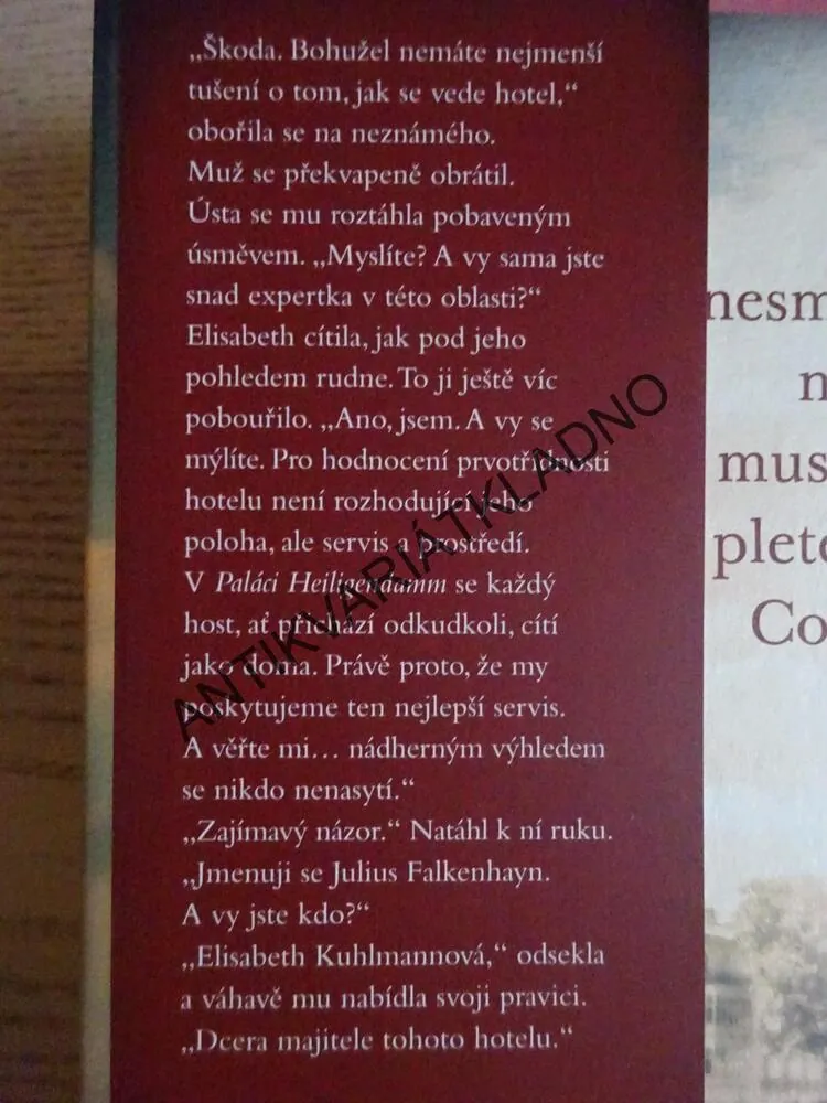 RODINNÝ HOTEL, NOVÝ ZAČÁTEK, MICHAELA GRÜNIGOVÁ, **an