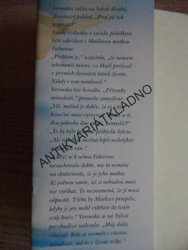 NÁVRAT NA OSTROV KAMÉLIÍ, TABEA BACHOVÁ, **an