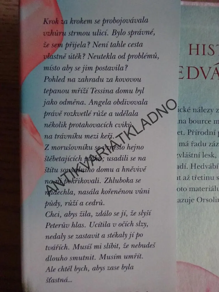 DŮM HEDVÁBÍ, TABEA BACHOVÁ, **an