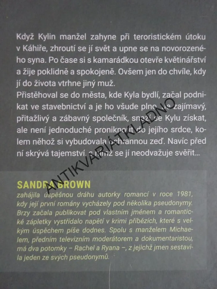 ZACHRÁNĚNÉ DOPISY, SANDRA BROWN, **an