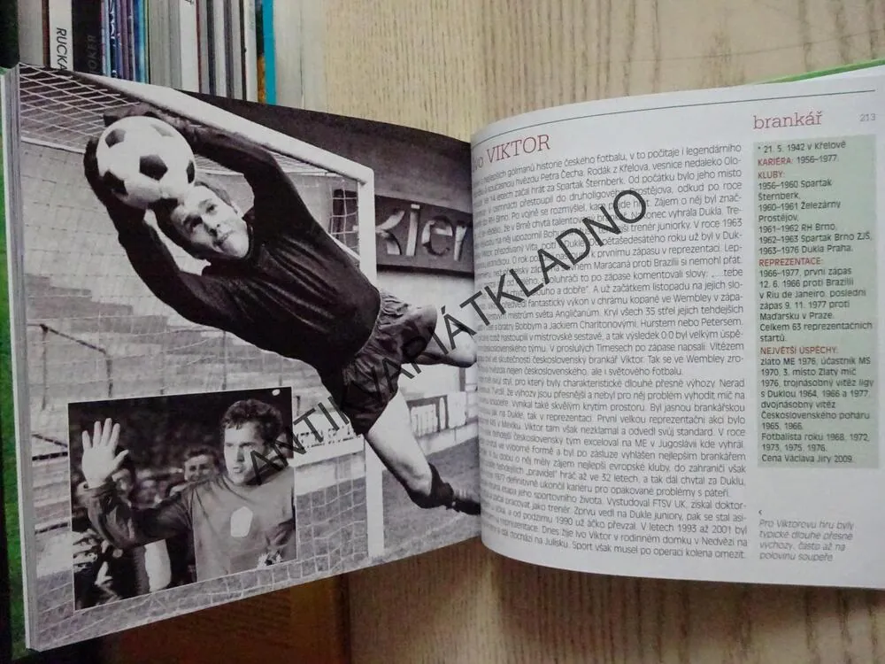 TOP ČESKÝCH A SLOVENSKÝCH FOTBALISTŮ, **an