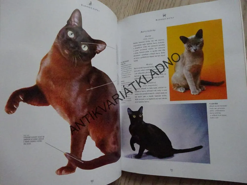 ILUSTROVANÁ ENCYKLOPEDIE, PLEMENA KOČEK CELÉHO SVĚTA, **an