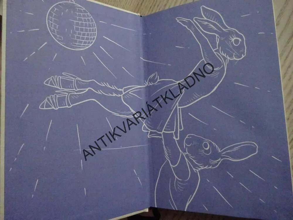 INTYMNĚ, MARKÉTA LUKÁŠKOVÁ, **an