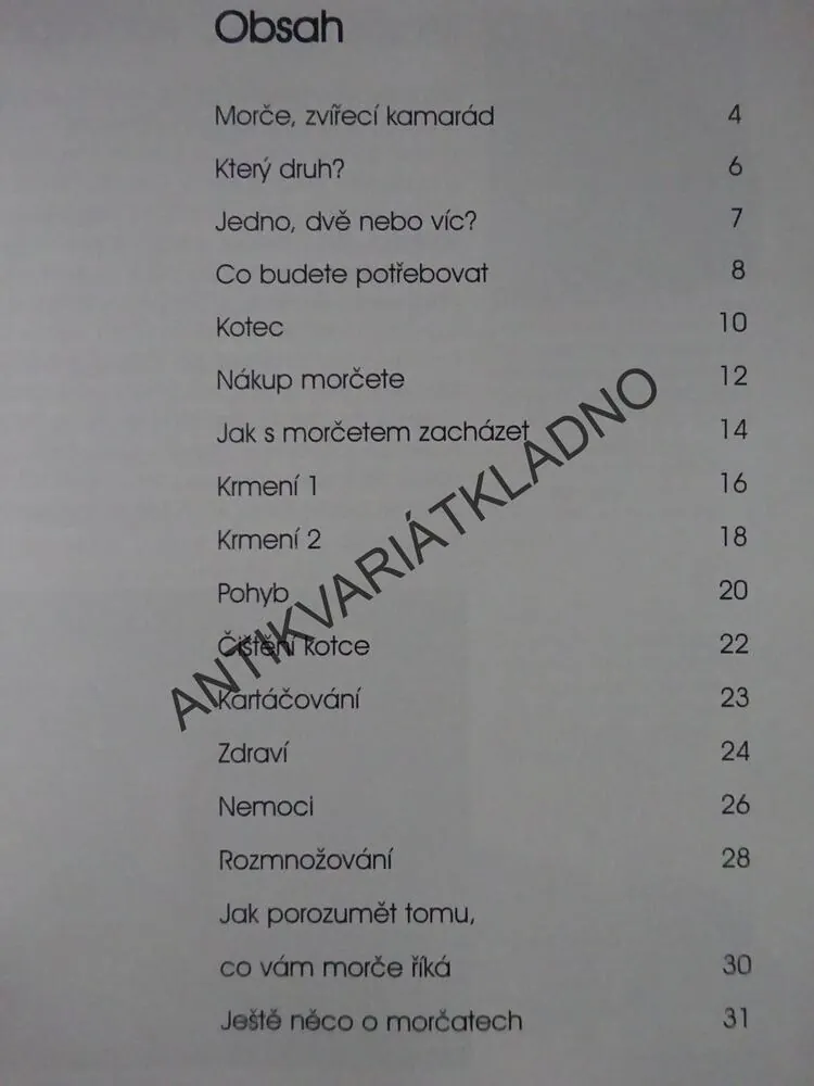 BYDLÍ S NÁMI MORČE, HELENA PIERSOVÁ,**an