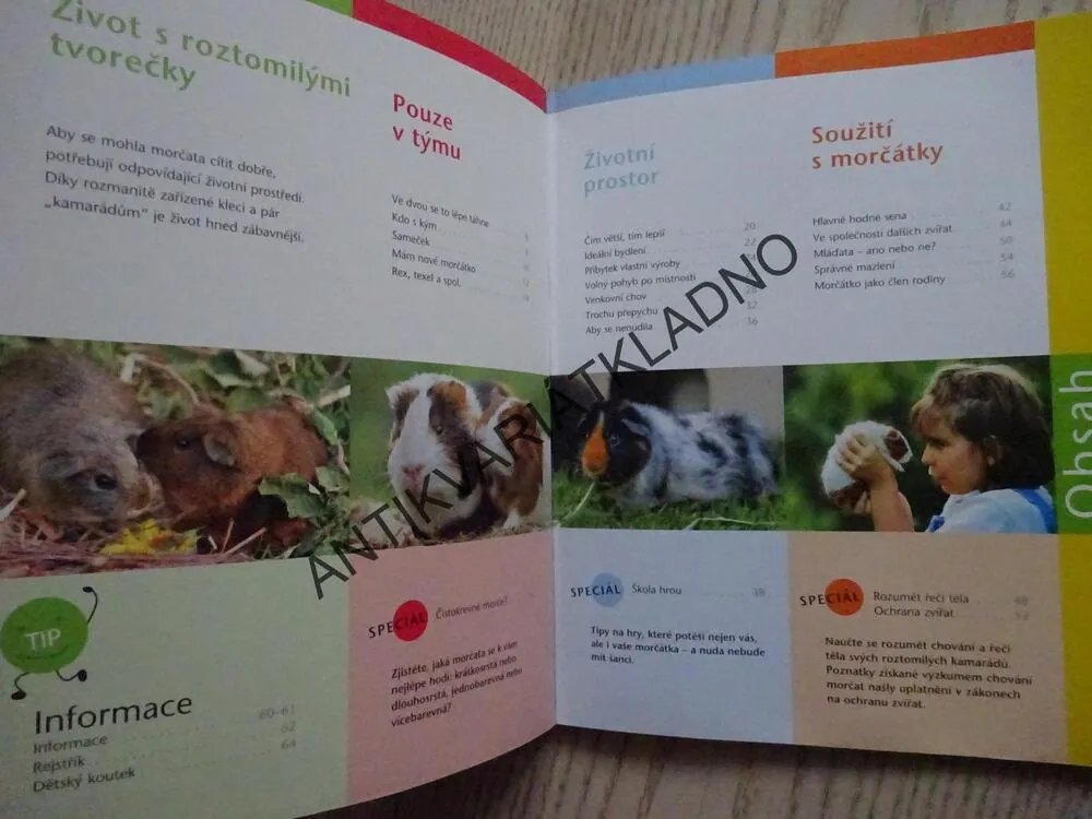 BYDLÍME S MORČETEM, ANJA BARTELS, GEORG GASNER, **an