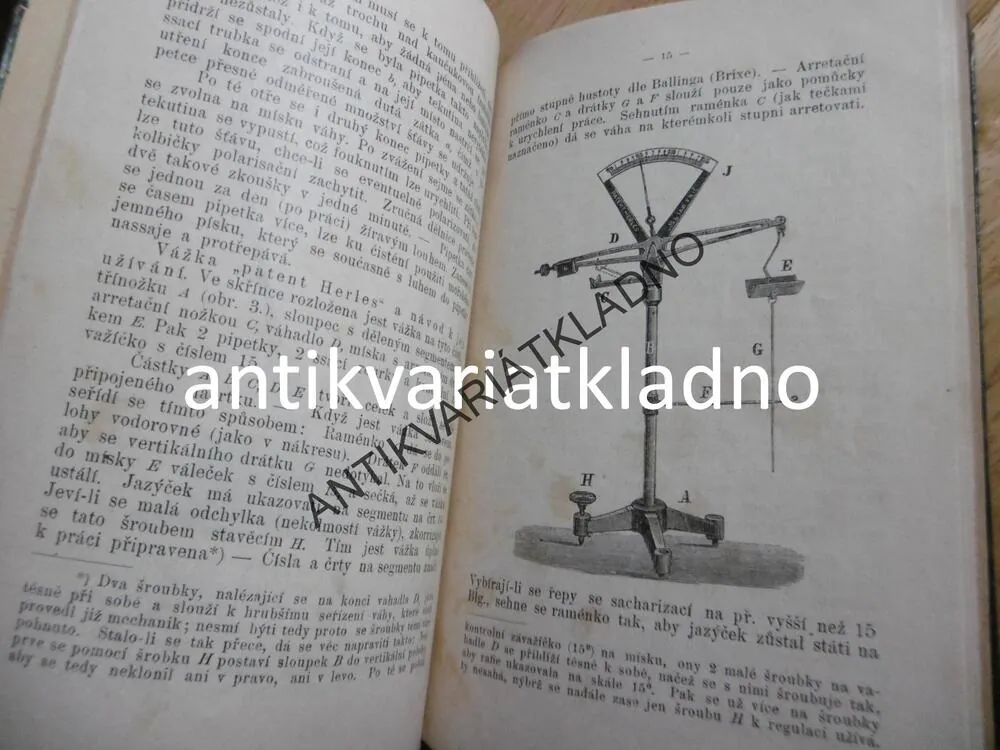 PĚSTOVÁNÍ ŘEPOVÉHO SEMENE, ČASOVÁ ÚVAHA,K.NOVÝ