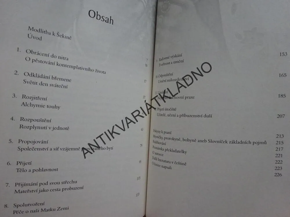 NESPOUTANÁ MILOST, MIRABAI STARR, **an