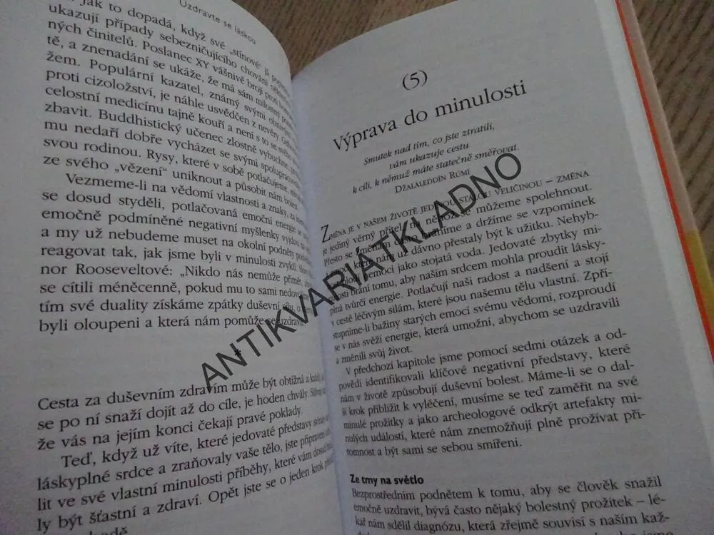 UZDRAVTE SE LÁSKOU, POTŘEBA DUŠEVNÍ ČISTOTY, DAVID SIMON, **an