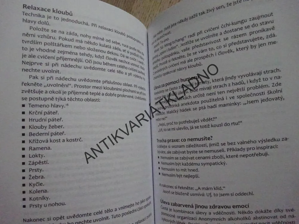 JAK BÝT MILEJŠÍ, KAREL NEŠPOR, **an