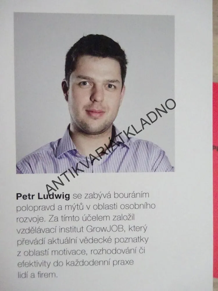 KONEC PROKRASTINACE, PETR LUDWIG, BESTSELLER, **an