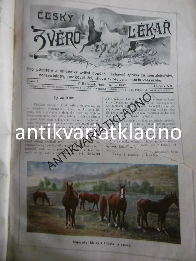 ČESKÝ ZVĚROLÉKAŘ,1897, ČASOPIS, VETERINÁŘ,