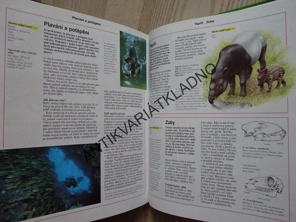 ZVÍŘATA A ROSTLINY, ŠKOLNÍ ENCYKLOPEDIE, **an