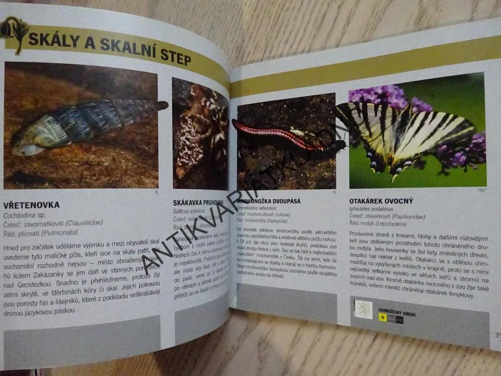 PŘÍRODA V ZOO, ZVÍŘATA NEJSOU JEN VE VÝBĚZÍCH, ZOO PRAHA, **an