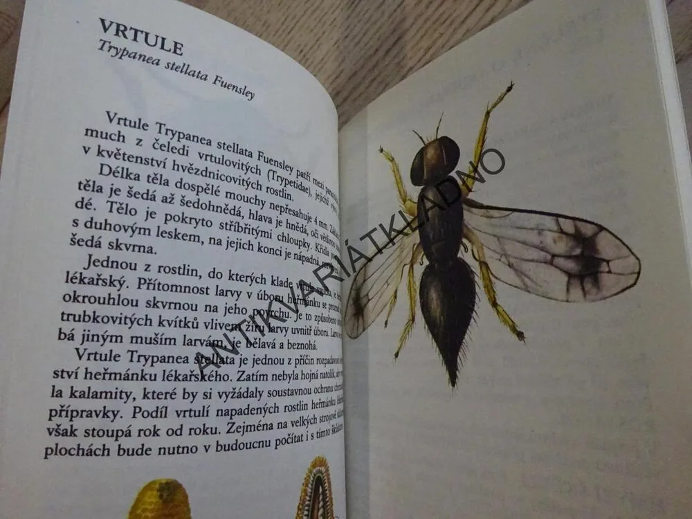 CHOROBY A ŠKŮDCI PĚSTOVANÝCH DRUHŮ LÉČIVÝCH ROSTLIN, **an