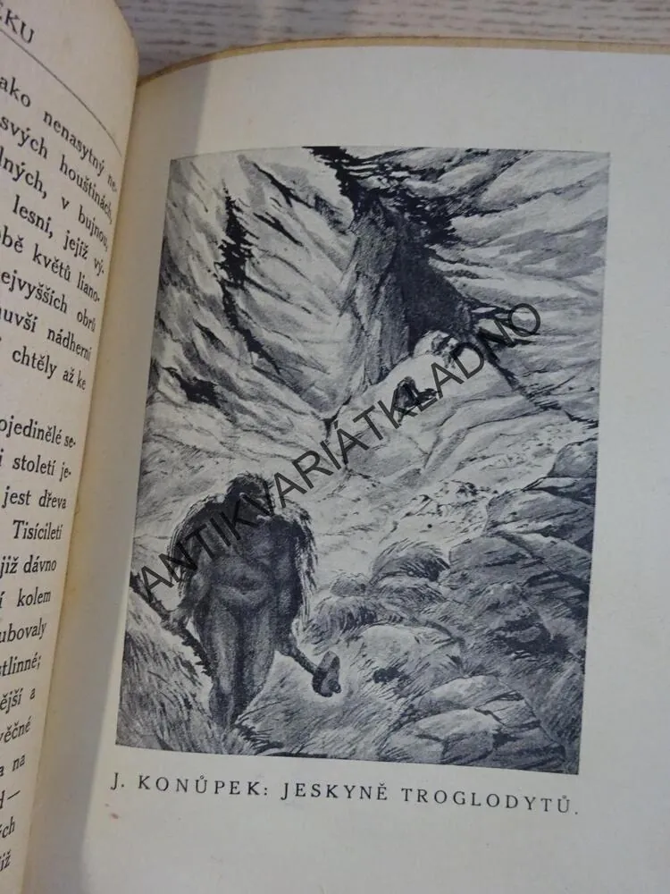 ŽIVOT V PRAVĚKU, RUDOLF RICH. HOFMEISTER, **an