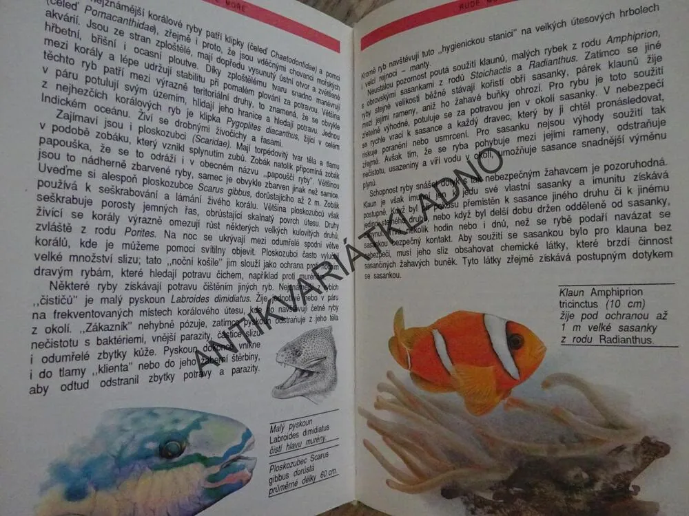SVĚT POD MOŘSKOU HLADINOU, PFLEGER, KNOTEK, **an