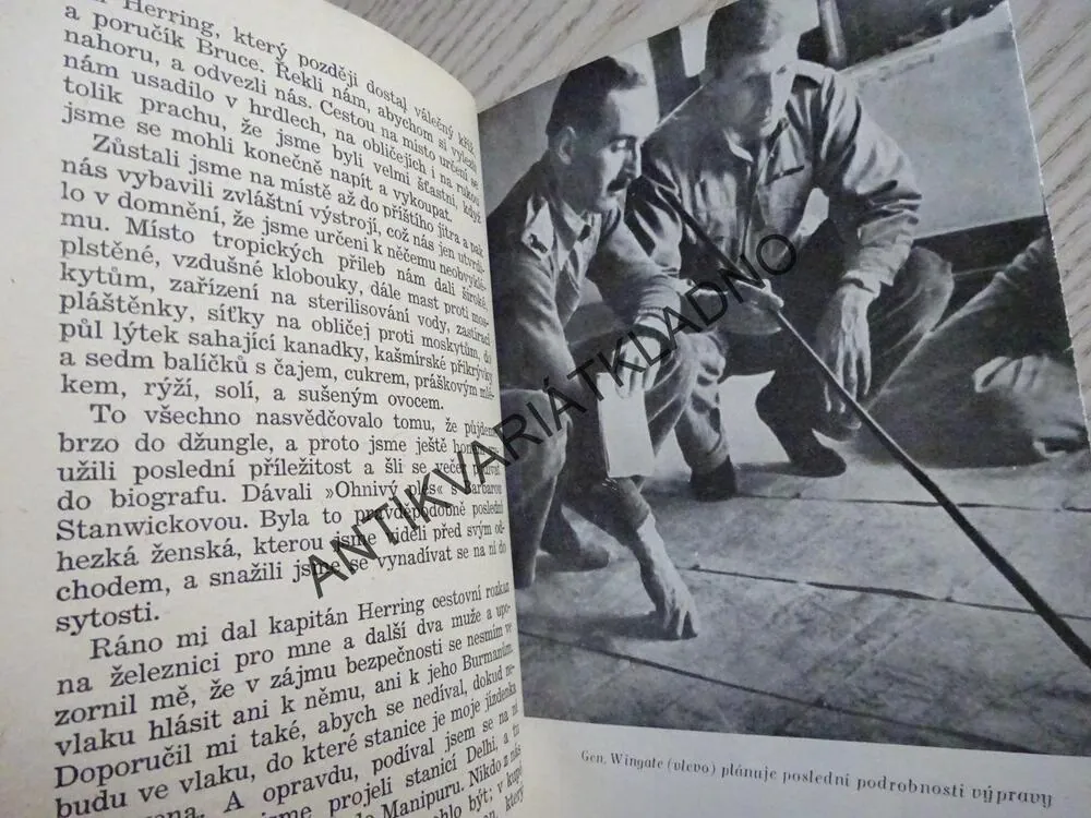 DO NITRA DŽUNGLE, DAVID HALLEY, **an
