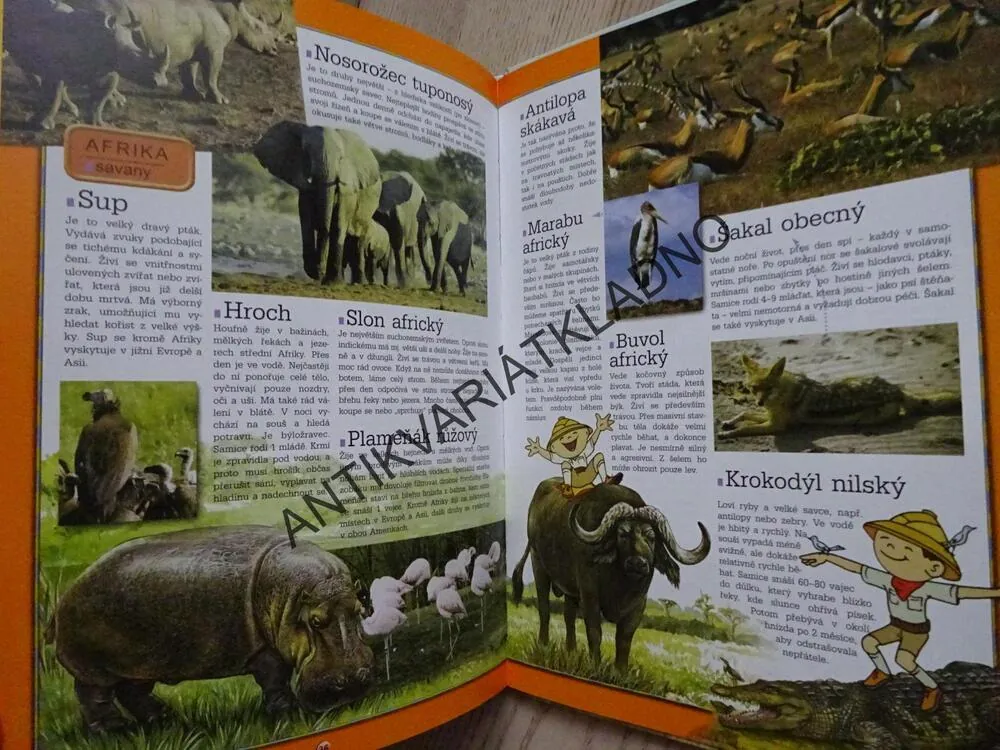 BOLEK A LOLEK, ATLAS ZVÍŘAT, **an
