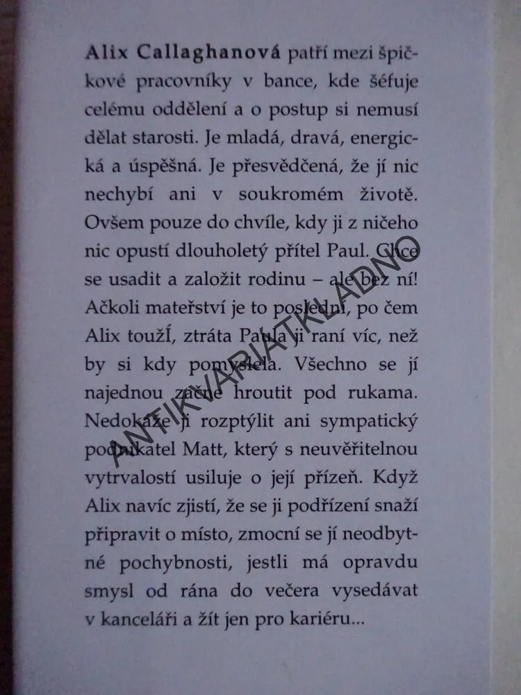 NÁHLE SAMA, SHEILA O´FLANAGANOVÁ, **an