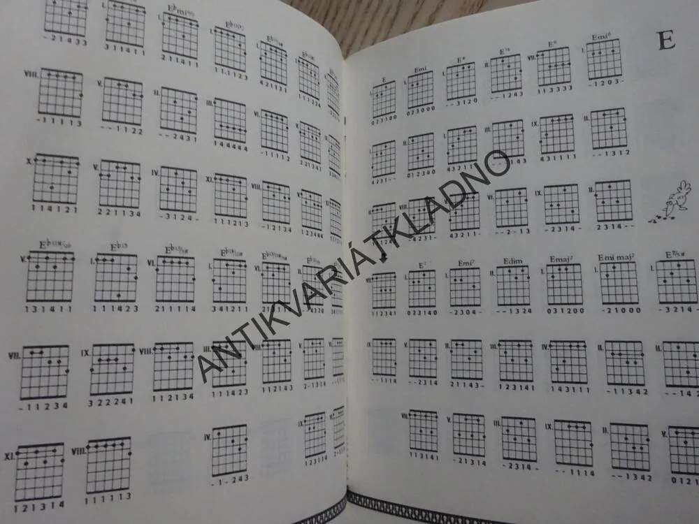 1419 KYTAROVÝCH AKORDŮ, HAVLÍK, VELINSKÝ, AKORDY, KYTARA
