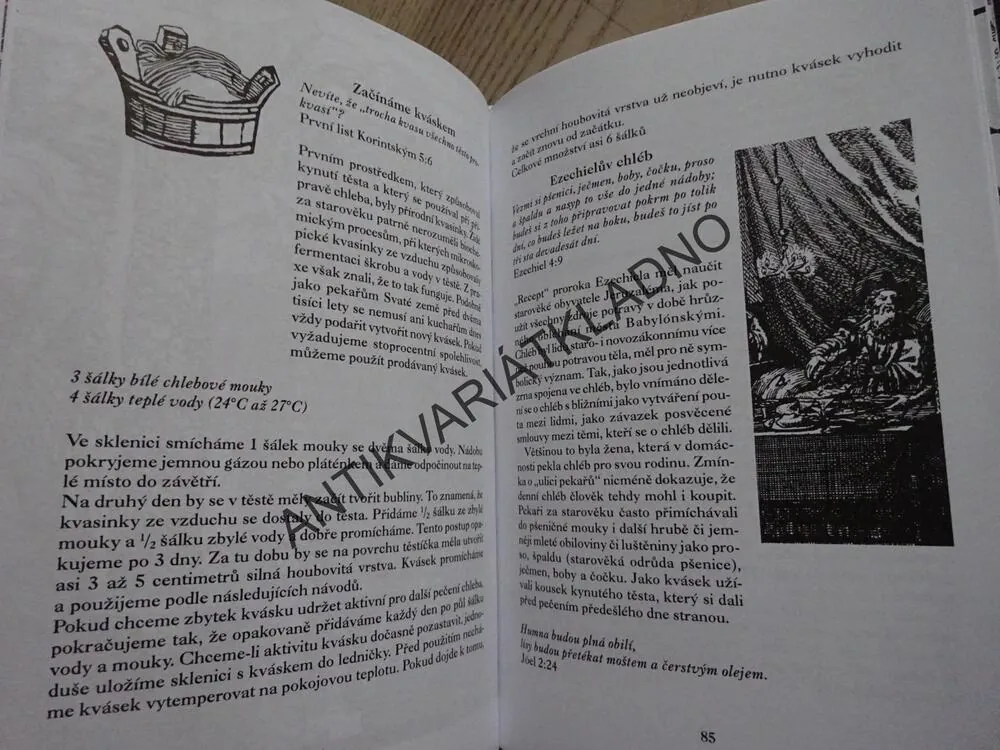BIBLICKÁ HOSTINA, POKRMY ZE SVATÉ ZEMĚ, **an
