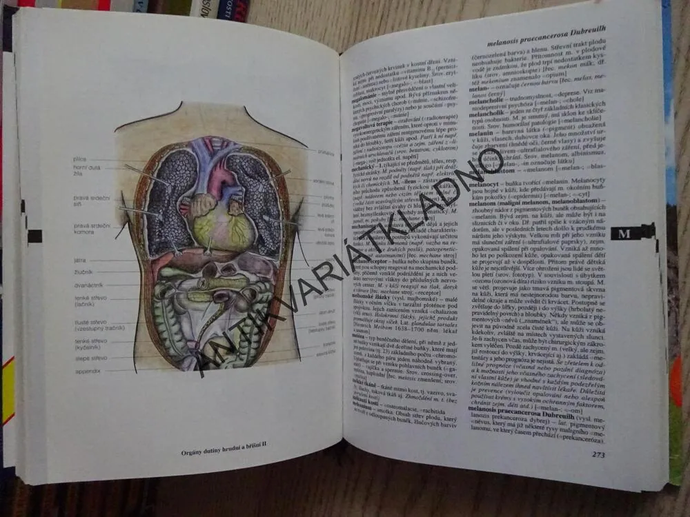 PRAKTICKÝ SLOVNÍK MEDICÍNY, **an