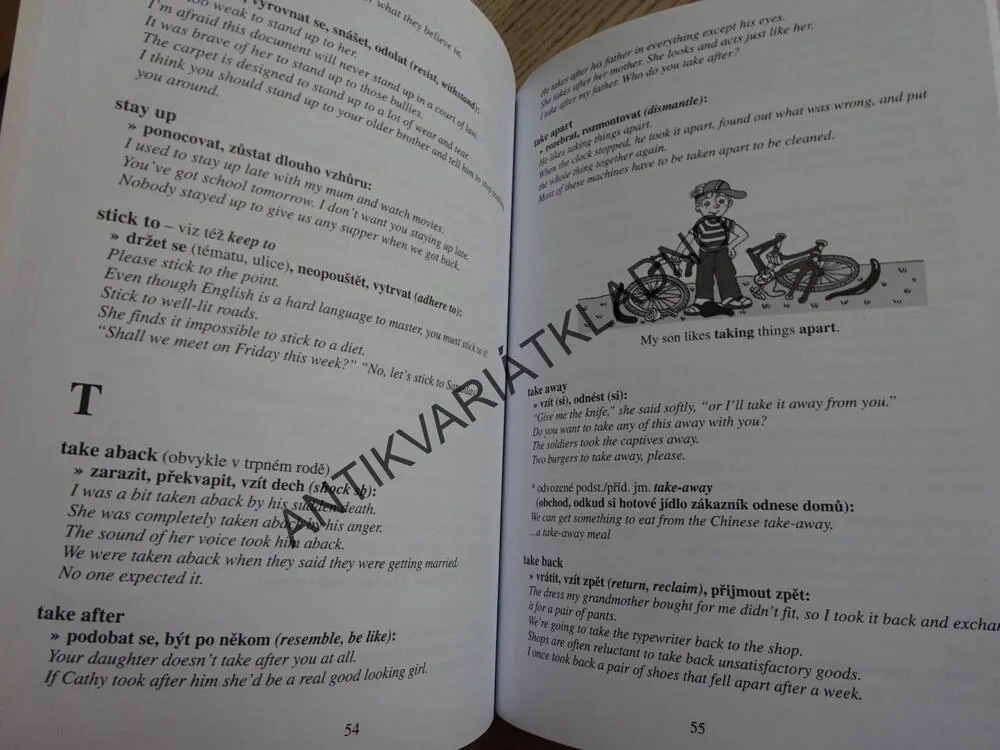 ANGLICKÁ FRÁZOVÁ SLOVESA, VČETNĚ CD, **an