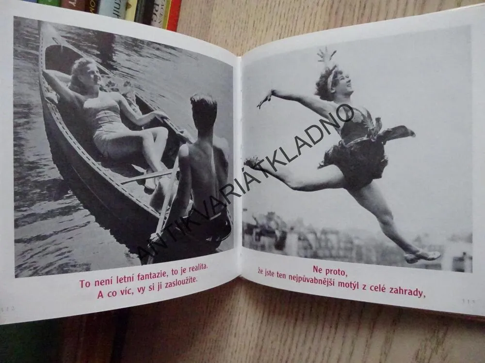 HLEDÁ SE TEN PRAVÝ, BRADLEY TREVOR GREIVE, **an