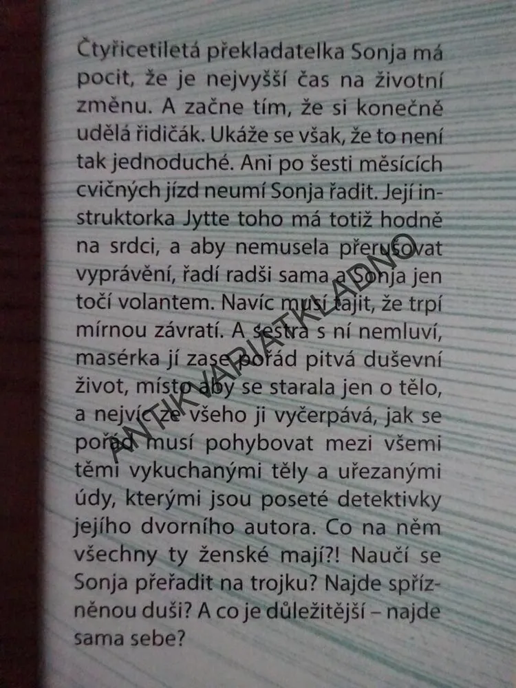 SPOJKA, DVOJKA, PLYN, DORTHE NORSOVÁ, **an