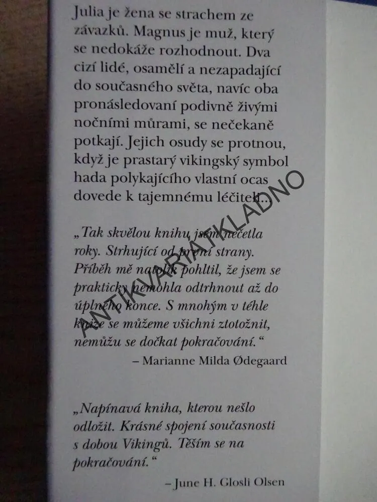 SŮL PRADÁVNÝCH SLZ, SÁGA ZTRACENÝCH VIKINGŮ, BRIAN M. TALGO, BRYNJULF HAUGAN **an