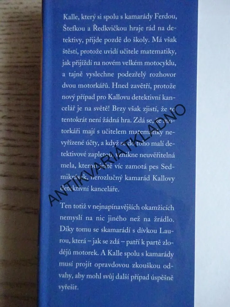 ČTYŘI A PŮL KAMARÁDA A PANTER NA ŠKOLNÍM DVOŘE, JOACHIM FRIEDRICH, **an