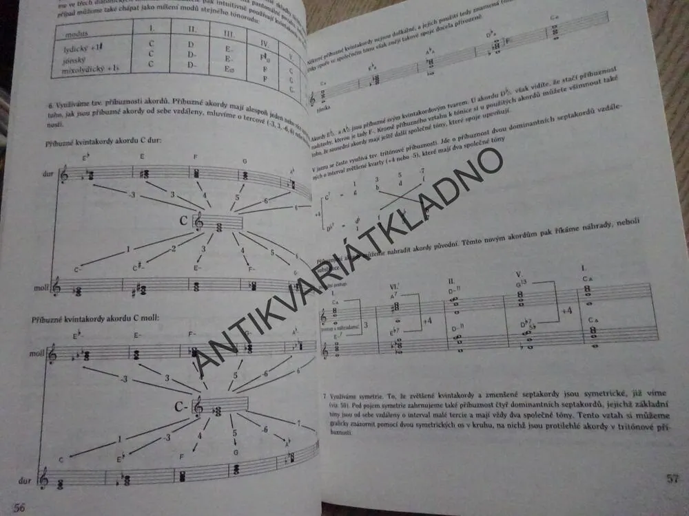 JAZZ, ROCK, BLUES, ORGANIZACE HUDEBNÍHO MATERIÁLU, LUBOŠ ANDRŠT, KYTARA, **an