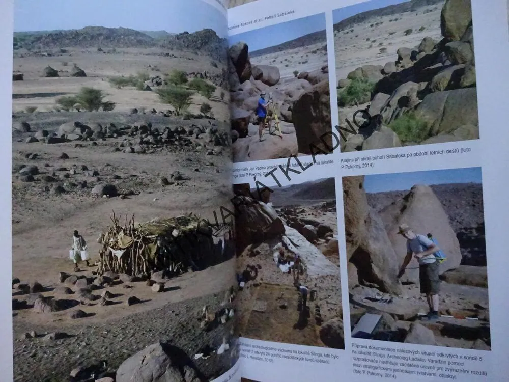 PRAŽSKÉ EGYPTOLOGICKÉ STUDIE, XIV/2015, **an