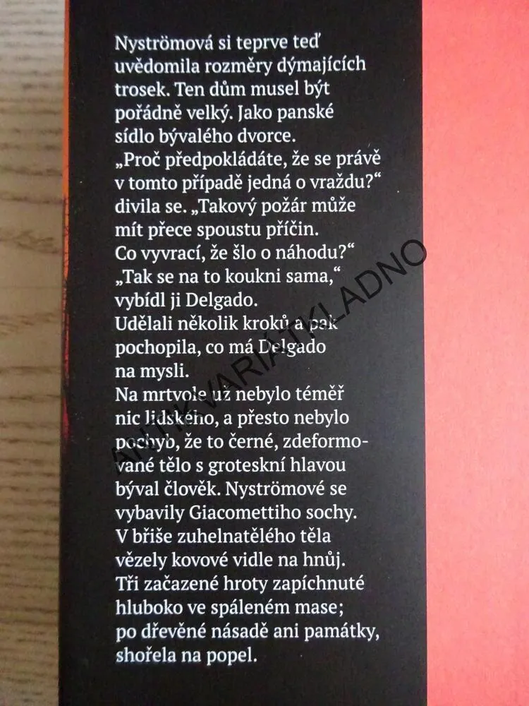 V BOUŘLIVÉ NOCI, KERSTIN SIGNE DANIELSSON, ROMAN VOOSEN, **an