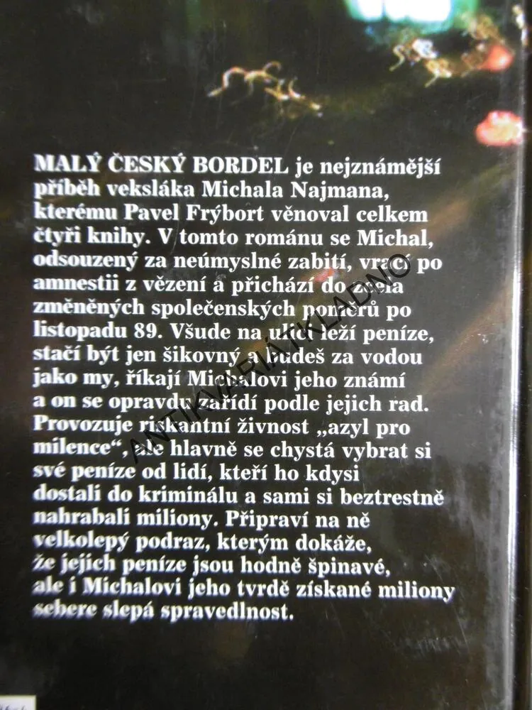 MALÝ ČESKÝ BORDEL, PAVEL FRÝBORT, 