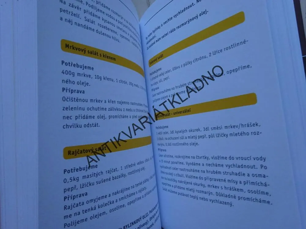 ZHUBNĚTE JEDNOU PRO VŽDY, NAJEZTE SE DO ŠTÍHLOSTI, ANTÓNIA MAČINGOVÁ, **an