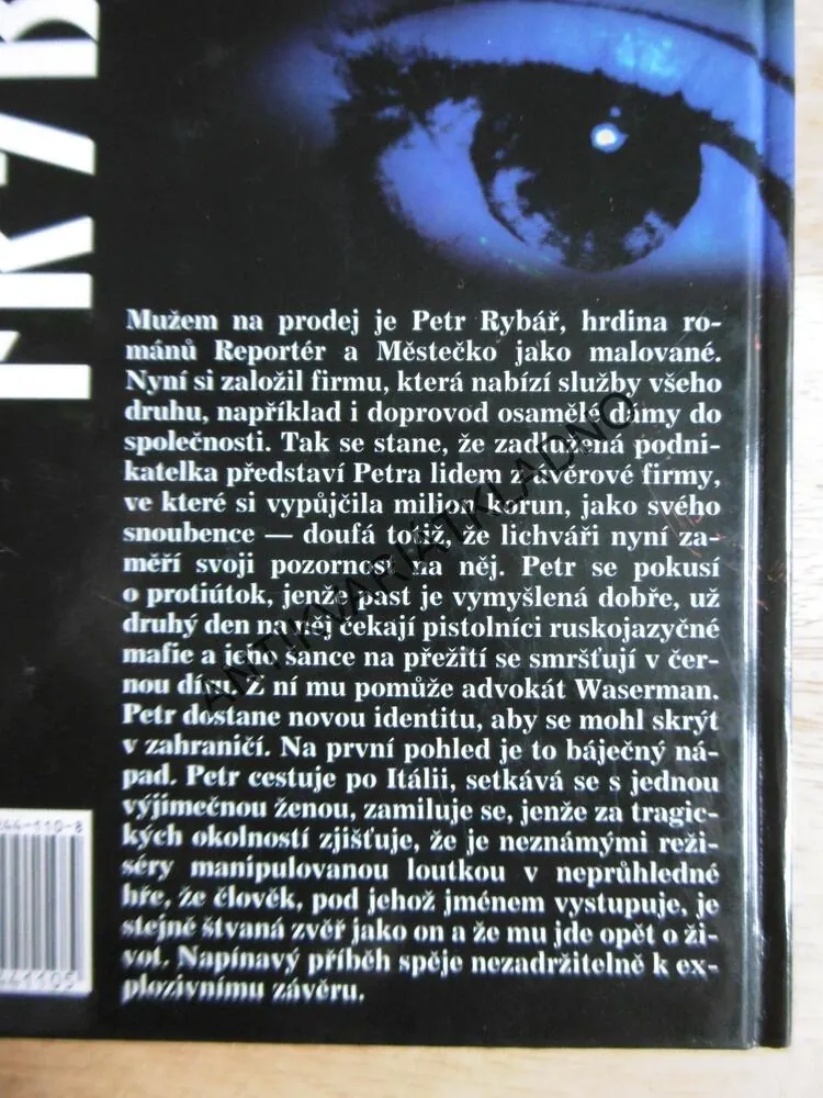 MUŽ NA PRODEJ, PAVEL FRÝBORT, **an