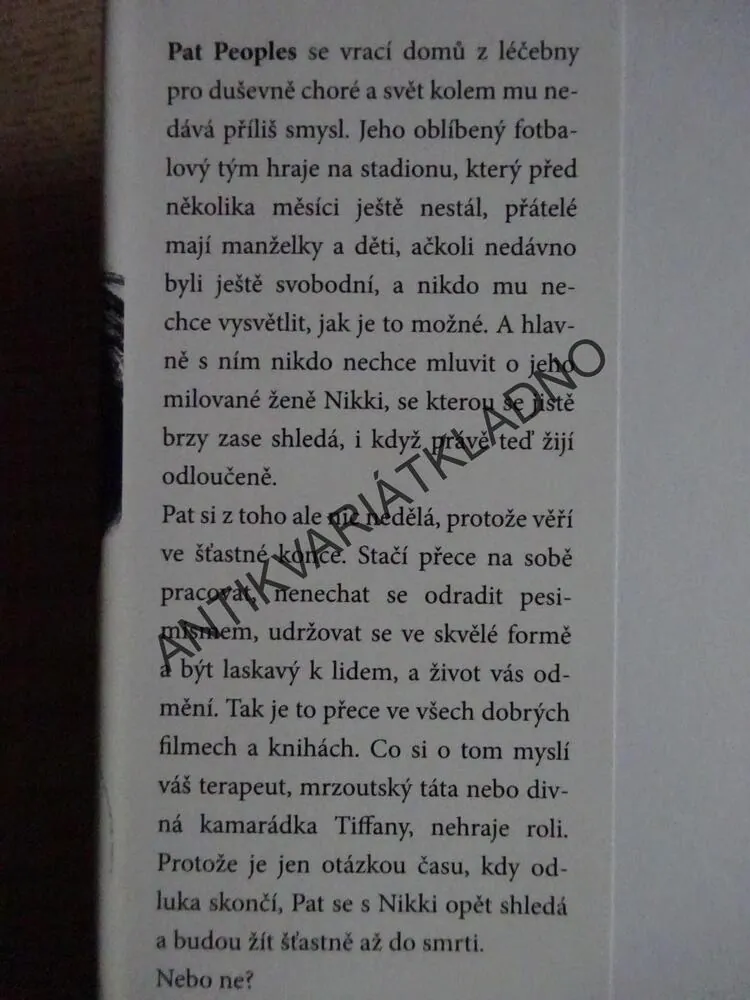 TERAPIE LÁSKOU, MATTHEW QUICK, **an